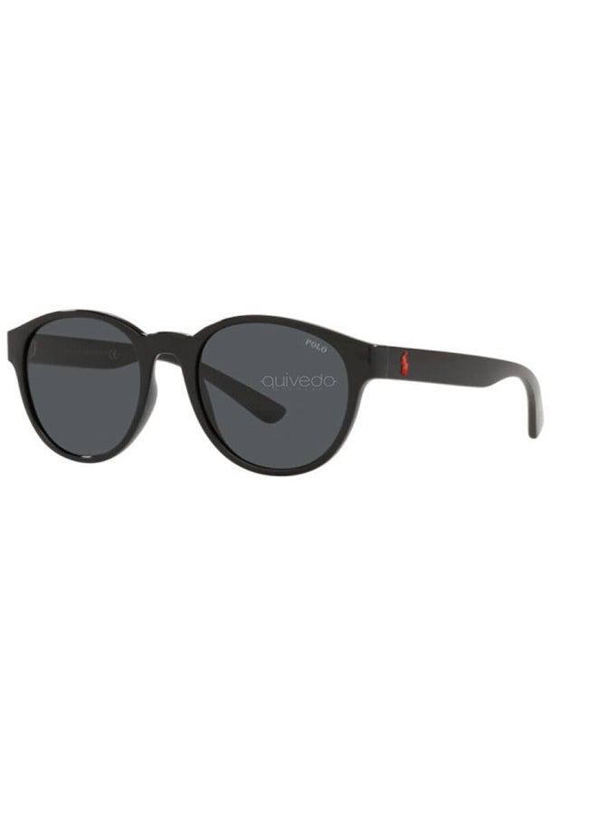 Men Sunglasses - PH4176 5523/87 51 - Lens Size: 51 millimeter