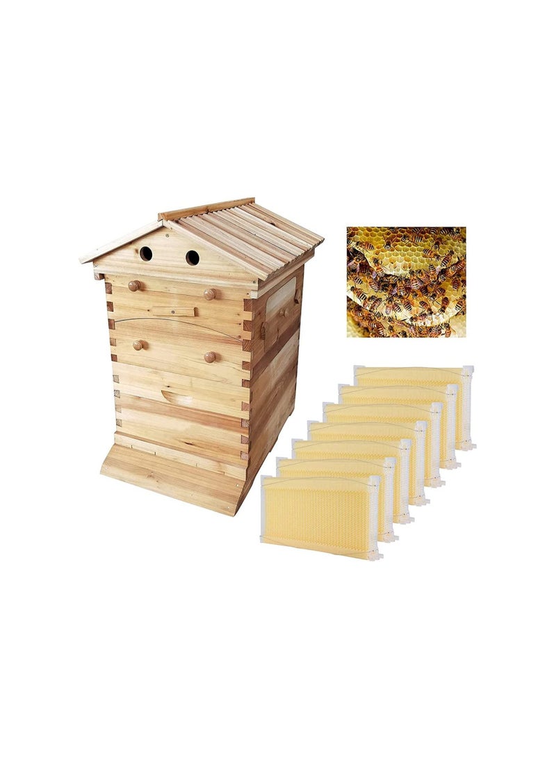 Wooden Beekeeping Beehive Box with 7 Pcs Beehive Frame