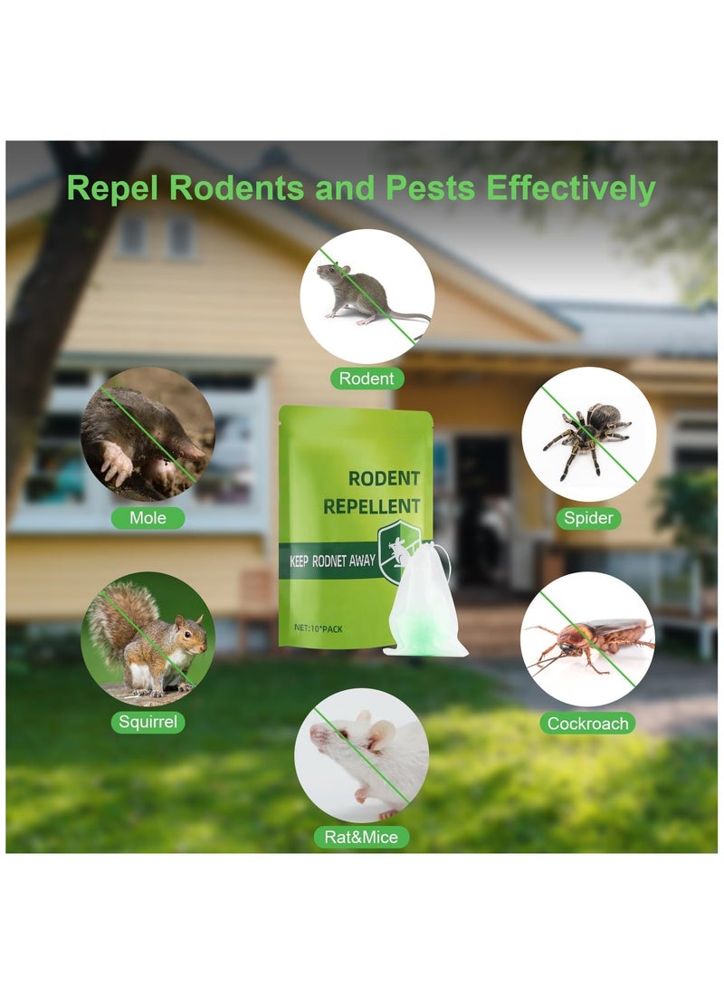 Natural Peppermint Oil Rodent Repellent Balls - Effective Pest Control for Mice, Bugs, Spiders, Cockroaches, and Ants in Your Home and Garden. Safe Ingredients for Protection.