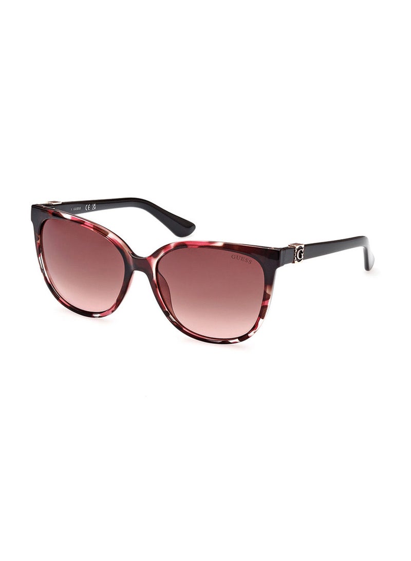 Sunglasses For Women GU786455T58