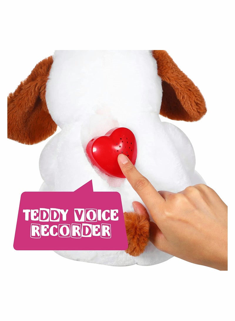 Voice Recorder for Stuffed Animal, 20 Seconds Stuffed Animal Voice Recorder Box, Bear Toy Push Button Sound Recorder, Heartbeat Recorder, Recording Device Sound Module for Toys, 4 Pcs (Red)