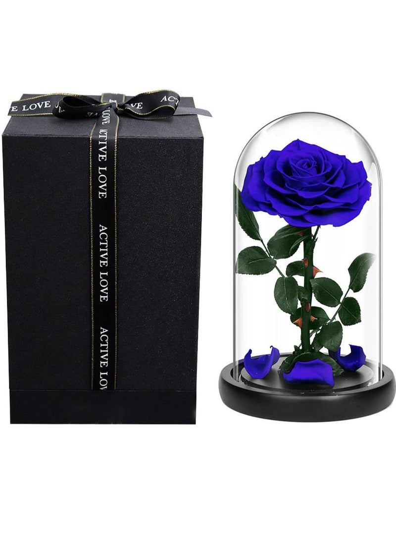 Handmade Preserved Rose Forever Never With blue Flowers, Gift for Wedding, Anniversary, Birthday, Mother's Day Gift, Best Gift for Her Rose (Single Rose, Blue) 14cm x 22cm