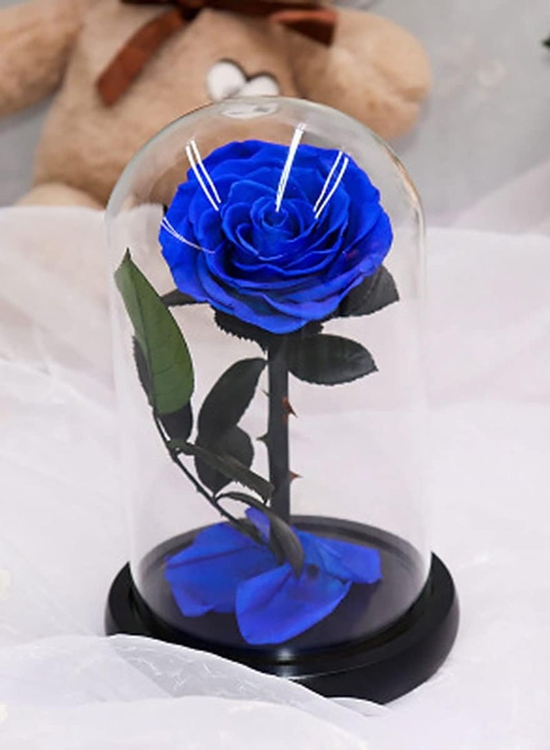 Handmade Preserved Rose Forever Never With blue Flowers, Gift for Wedding, Anniversary, Birthday, Mother's Day Gift, Best Gift for Her Rose (Single Rose, Blue) 14cm x 22cm