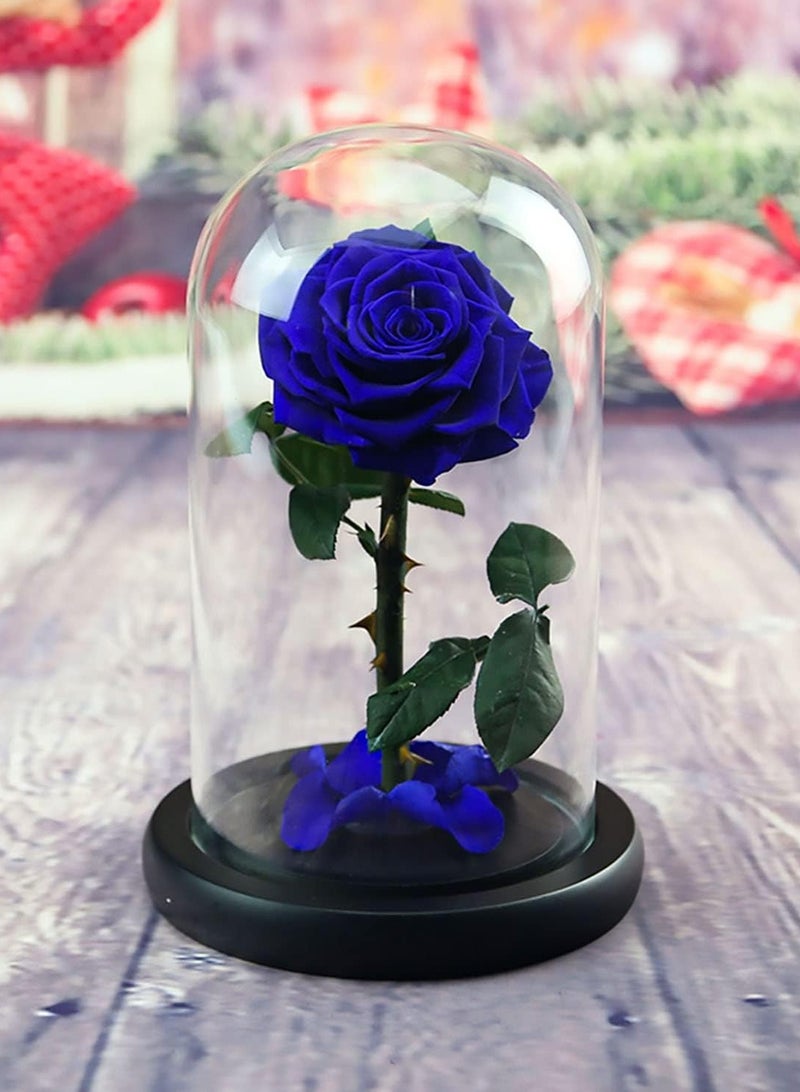 Handmade Preserved Rose Forever Never With blue Flowers, Gift for Wedding, Anniversary, Birthday, Mother's Day Gift, Best Gift for Her Rose (Single Rose, Blue) 14cm x 22cm