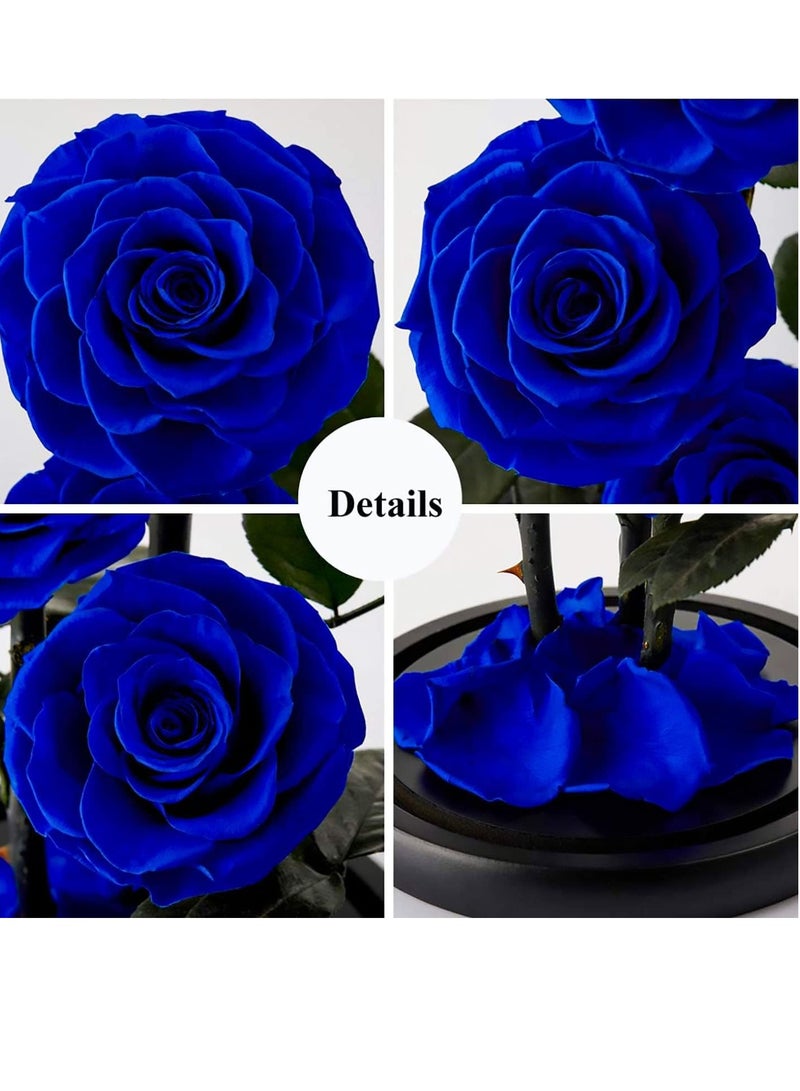 Handmade Preserved Rose Forever Never With blue Flowers, Gift for Wedding, Anniversary, Birthday, Mother's Day Gift, Best Gift for Her Rose (Single Rose, Blue) 14cm x 22cm