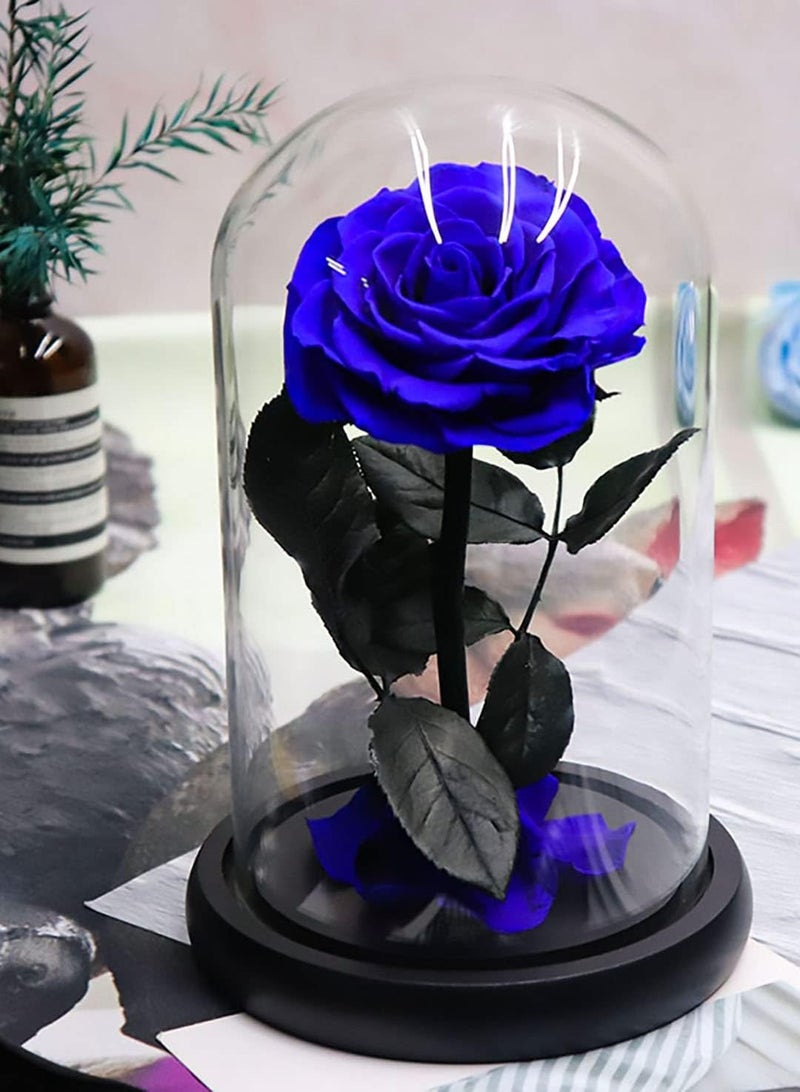 Handmade Preserved Rose Forever Never With blue Flowers, Gift for Wedding, Anniversary, Birthday, Mother's Day Gift, Best Gift for Her Rose (Single Rose, Blue) 14cm x 22cm