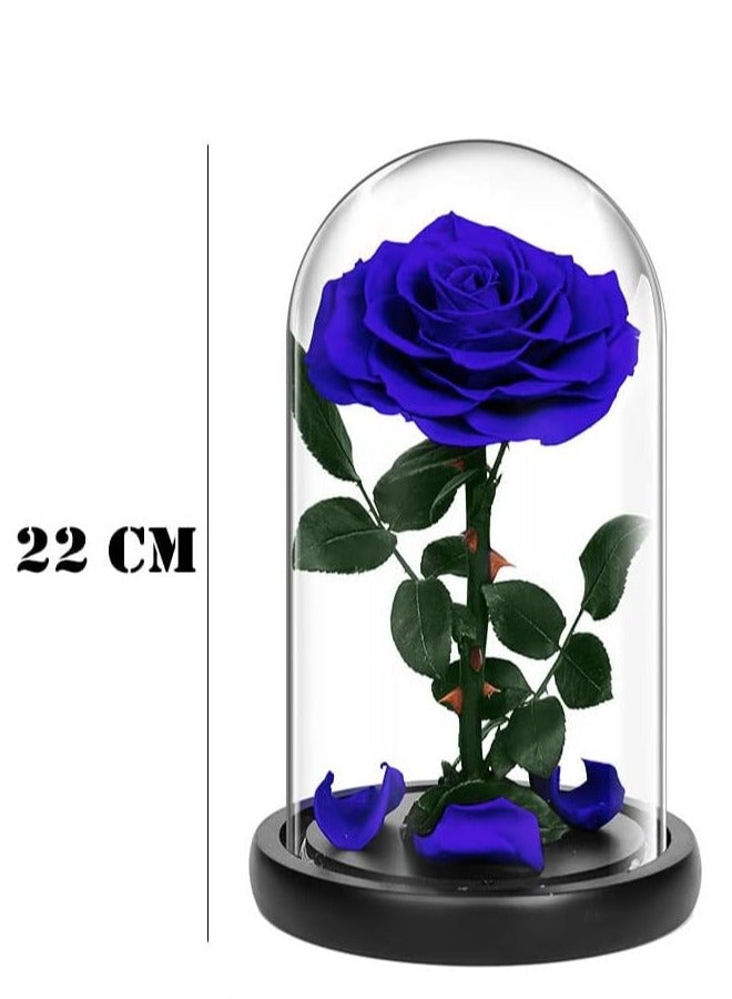 Handmade Preserved Rose Forever Never With blue Flowers, Gift for Wedding, Anniversary, Birthday, Mother's Day Gift, Best Gift for Her Rose (Single Rose, Blue) 14cm x 22cm