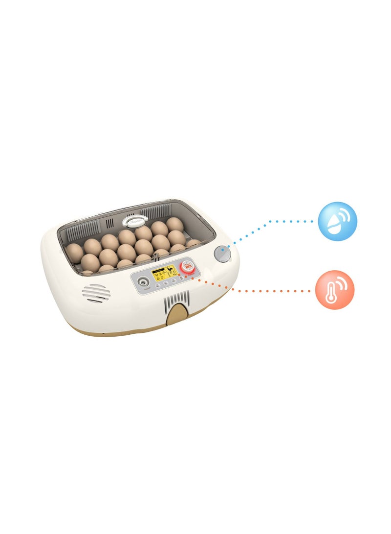 Rcom Automatic Egg Incubator for Hatching Eggs with Automatic Temperature Control, Humidity Sensor, Made in Korea