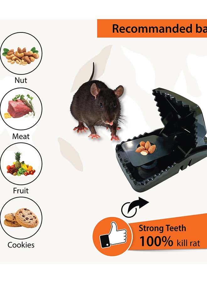 Rat Snap Trap - Heavy-Duty Rodent Control Solution