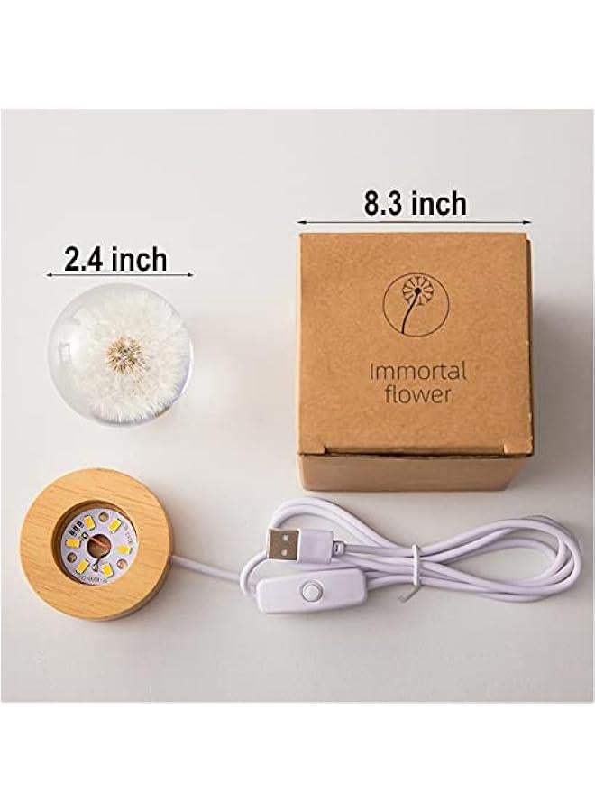 Flower Crystal Ball Night Light,2.4 inch Glass Ball Night Lamp with Woodern Base,Decorations Gifts for Men,Women,Kids,Boys,Girls,Teens (Red Daisy)