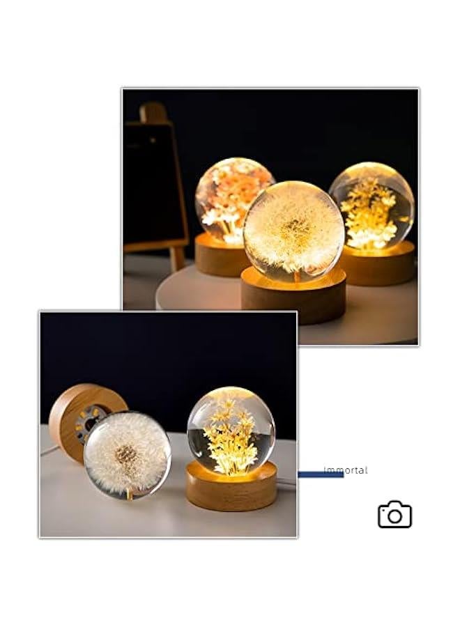 Flower Crystal Ball Night Light,2.4 inch Glass Ball Night Lamp with Woodern Base,Decorations Gifts for Men,Women,Kids,Boys,Girls,Teens (Red Daisy)