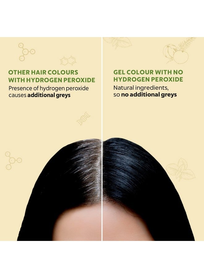 Damage Free Natural Gel Hair Colour For Women | Ammonia & Ppd Free Organic Hair Colour With 100% Grey Coverage, Long Lasting Conditioning Hair Color | Black 1.00 Pack Of 4