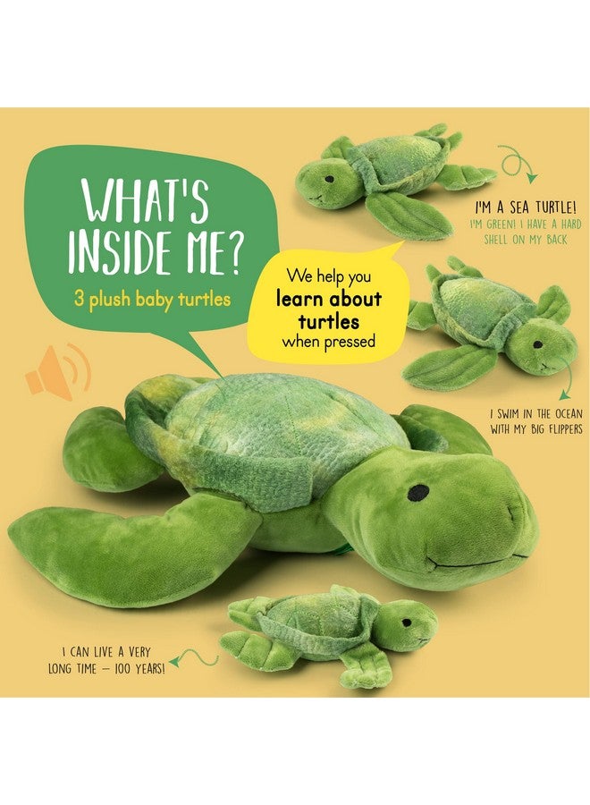 Talking Stuffed Mommy Sea Turtle With 3 Baby Turtles In Her Tummy | Plush Turtles | Stuffed Turtle | Stuffed Animal Family | Stuffed Animal Mom And Baby | Stuffed Animals For Ages 0+