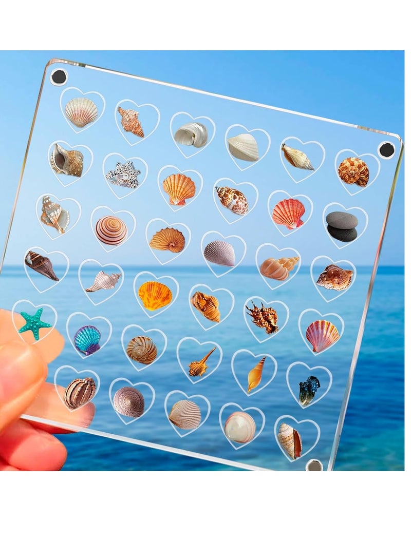 36 Grids Heart Clear Acrylic Shadow Boxes, Mini Seashell Collection Display Box, Acrylic Magnetic Seashell Storage Box, Clear Acrylic Diamond Gemstone Beads Display Organizer