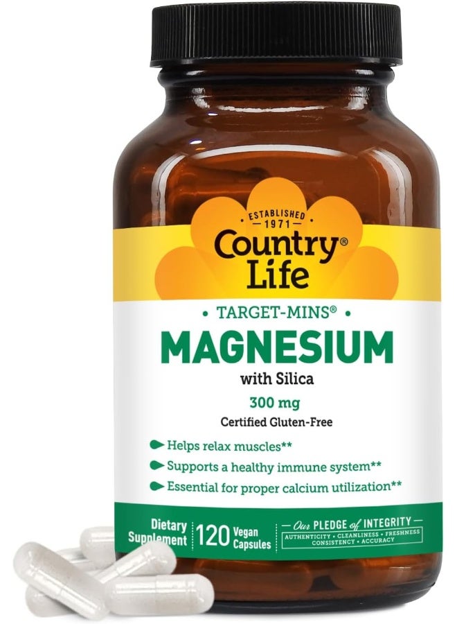 Target-Mins Magnesium With Silica 300 Mg 120 Vegetarian Capsules