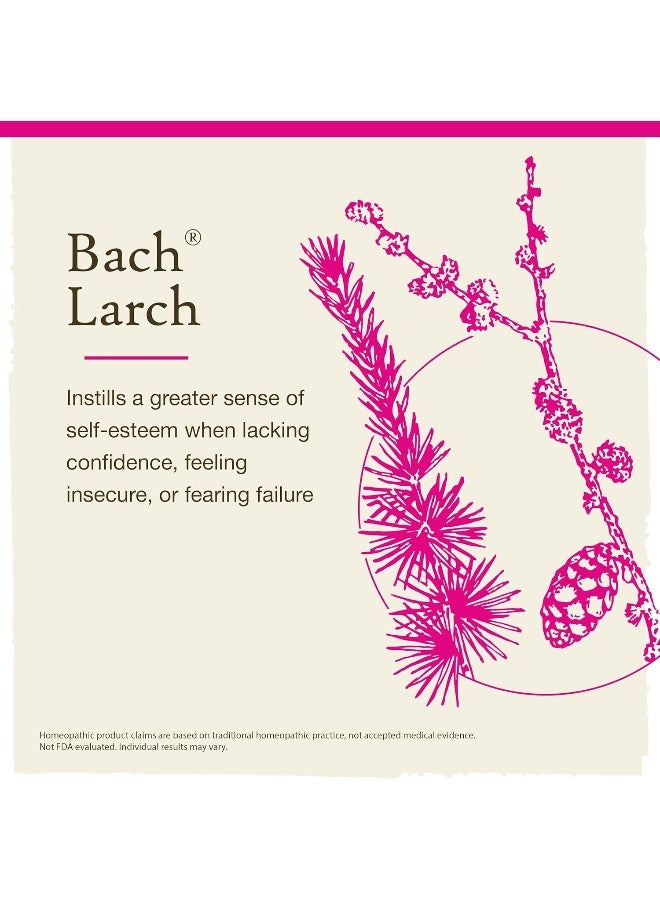 Original Flower Remedies Larch For Confidence Natural Homeopathic Flower Essence Holistic Wellness Vegan 20Ml Dropper