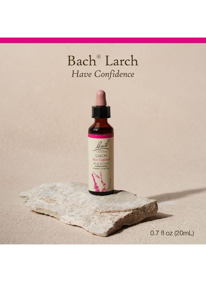 Original Flower Remedies Larch For Confidence Natural Homeopathic Flower Essence Holistic Wellness Vegan 20Ml Dropper