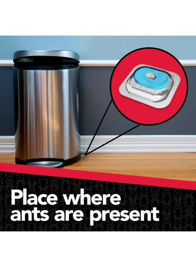 Max Liquid Ant Bait Kills Ants where they breed 8 Bait Stations