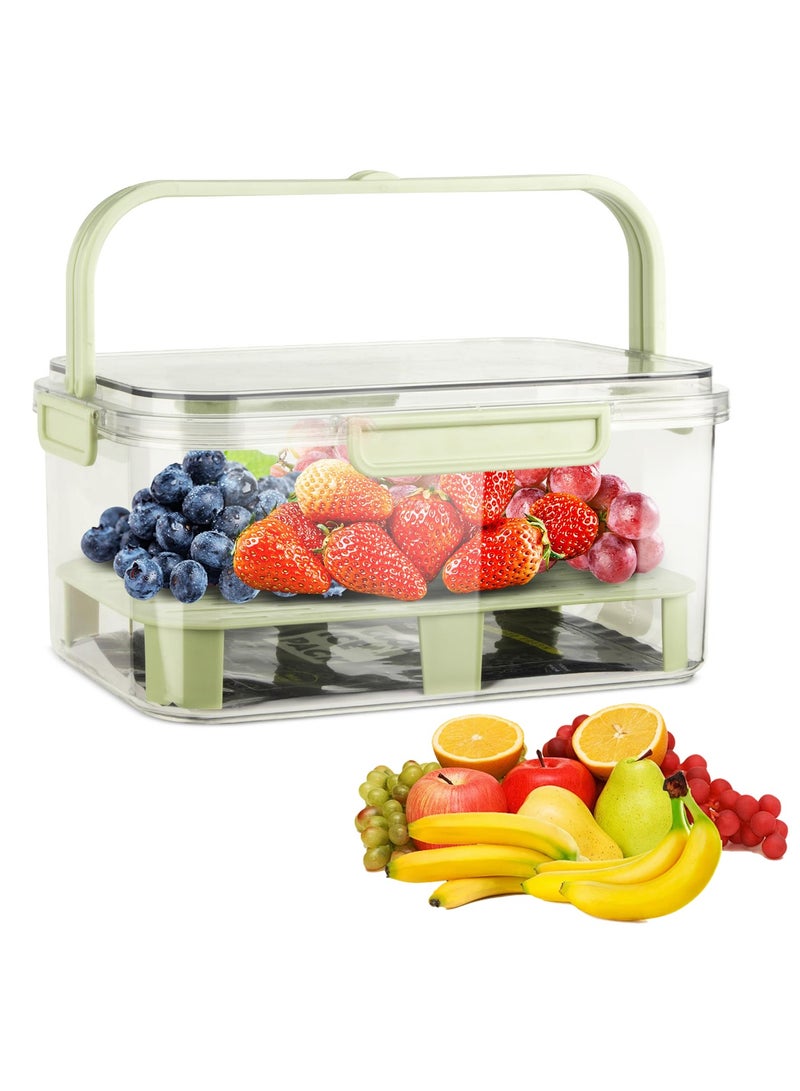 Fruit Storage Berry Keeper Container with Lid and Handle, Portable Food Saver with Ice Pack, Keeps Fruit, Vegetables, Meat Fresh, Ideal for Picnic, Office, Refrigerator, Fridge (Green)