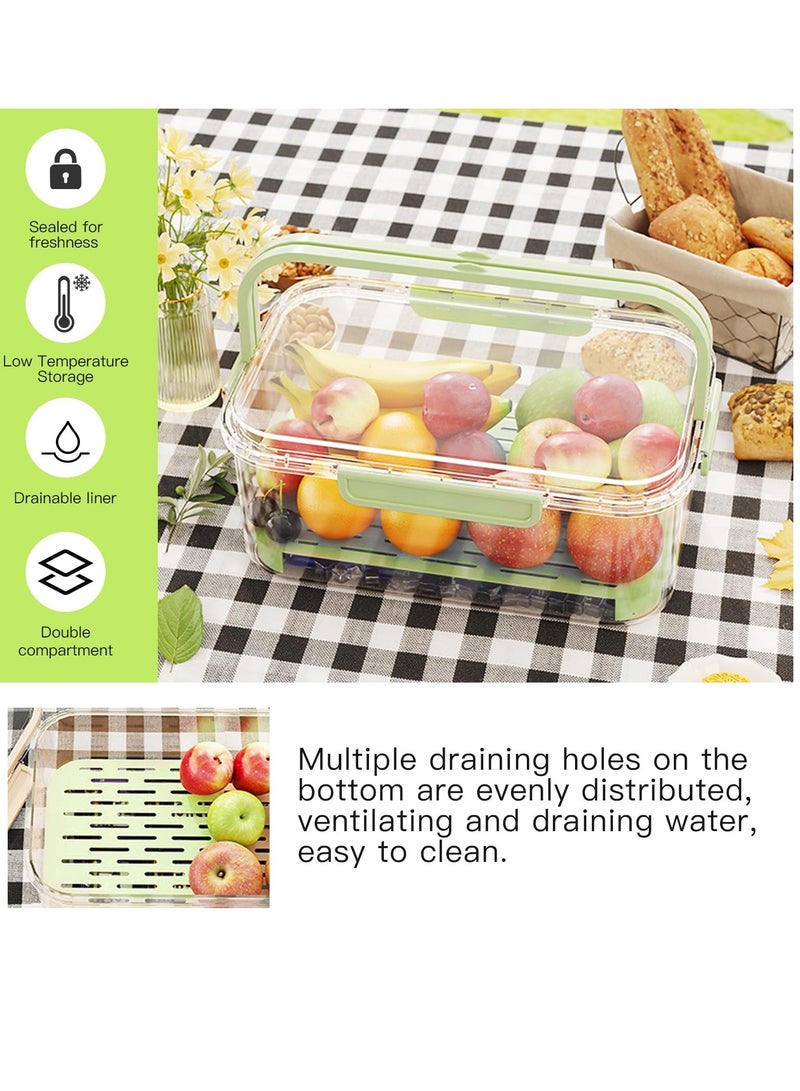 Fruit Storage Berry Keeper Container with Lid and Handle, Portable Food Saver with Ice Pack, Keeps Fruit, Vegetables, Meat Fresh, Ideal for Picnic, Office, Refrigerator, Fridge (Green)