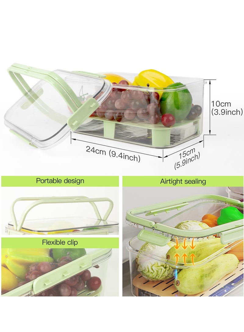 Fruit Storage Berry Keeper Container with Lid and Handle, Portable Food Saver with Ice Pack, Keeps Fruit, Vegetables, Meat Fresh, Ideal for Picnic, Office, Refrigerator, Fridge (Green)