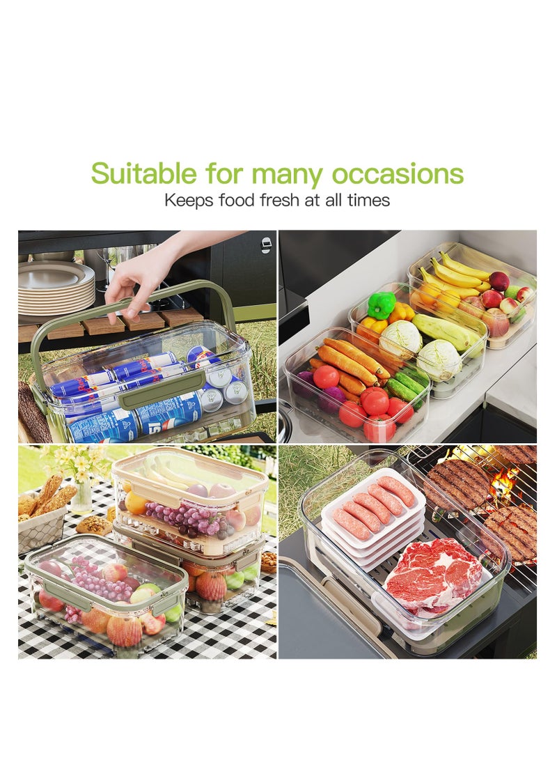 Fruit Storage Berry Keeper Container with Lid and Handle, Portable Food Saver with Ice Pack, Keeps Fruit, Vegetables, Meat Fresh, Ideal for Picnic, Office, Refrigerator, Fridge (Green)