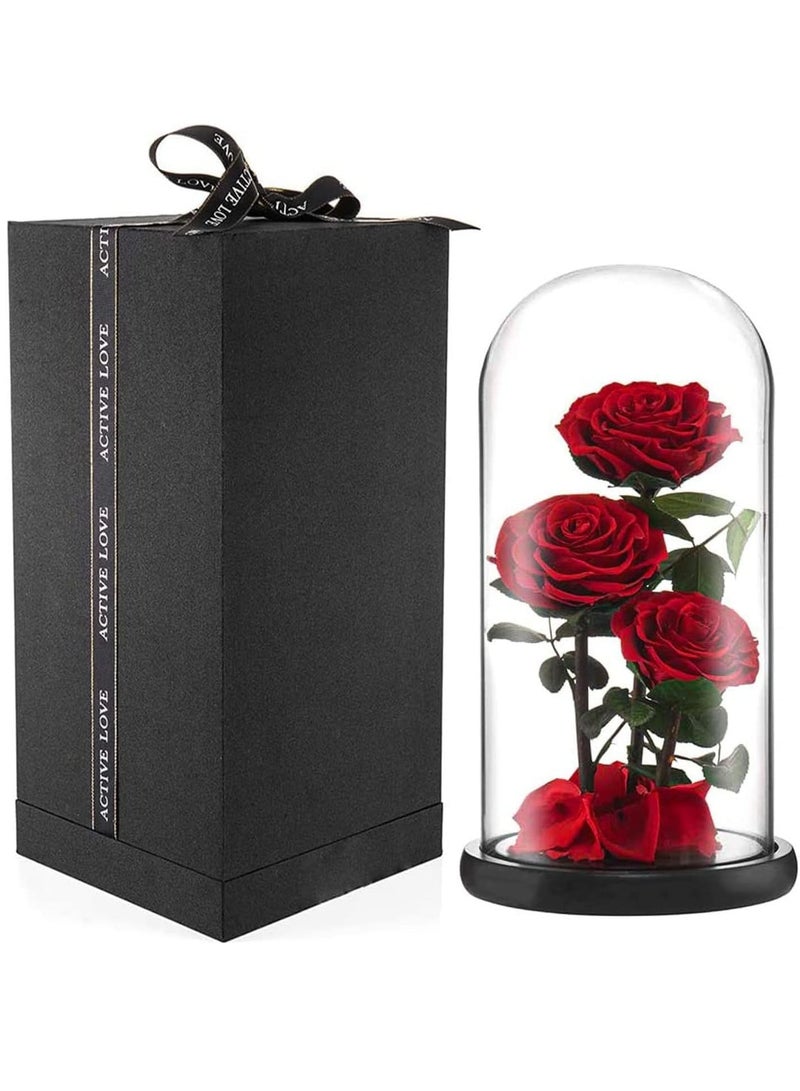 Large-size Forever Red Rose, Real Eternal Rose in Glass Dome Preserved Flower with Luxury Gift Box - Gift for Mother's Day Wedding Anniversary Birthday Any Special Day (Three Roses)