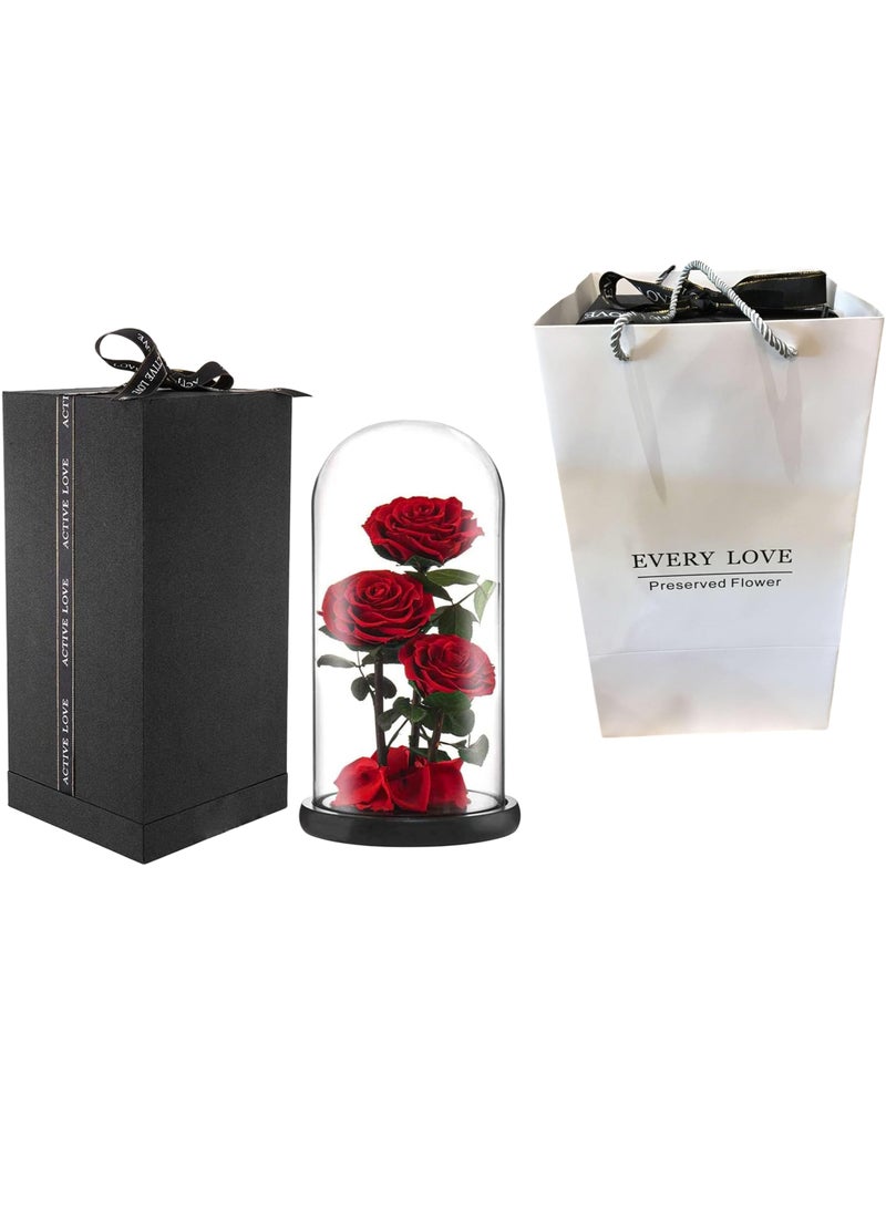 Large-size Forever Red Rose, Real Eternal Rose in Glass Dome Preserved Flower with Luxury Gift Box - Gift for Mother's Day Wedding Anniversary Birthday Any Special Day (Three Roses)