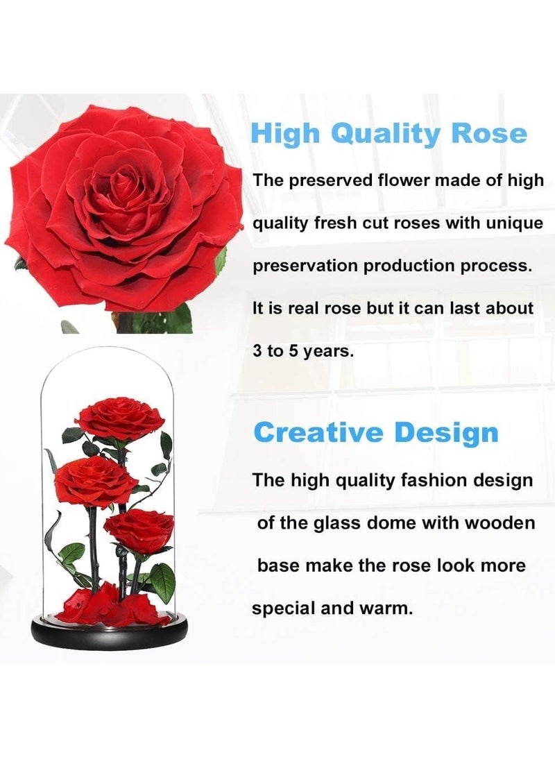 Large-size Forever Red Rose, Real Eternal Rose in Glass Dome Preserved Flower with Luxury Gift Box - Gift for Mother's Day Wedding Anniversary Birthday Any Special Day (Three Roses)