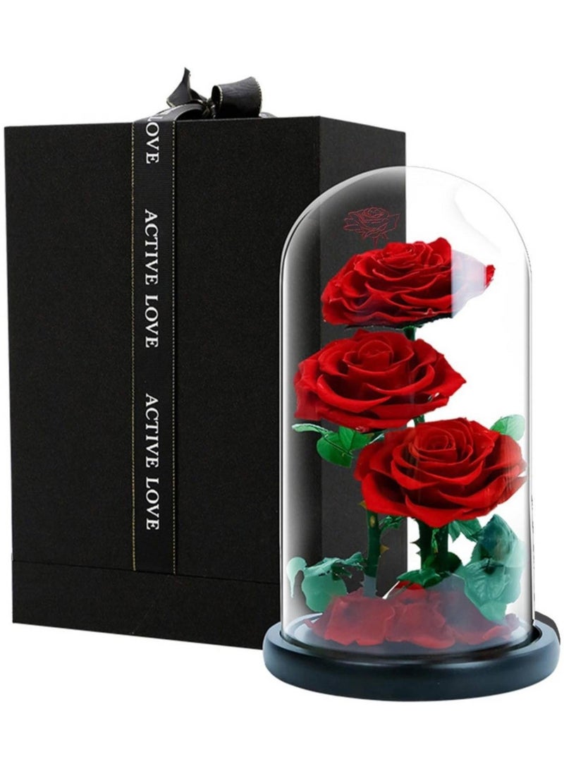 Large-size Forever Red Rose, Real Eternal Rose in Glass Dome Preserved Flower with Luxury Gift Box - Gift for Mother's Day Wedding Anniversary Birthday Any Special Day (Three Roses)