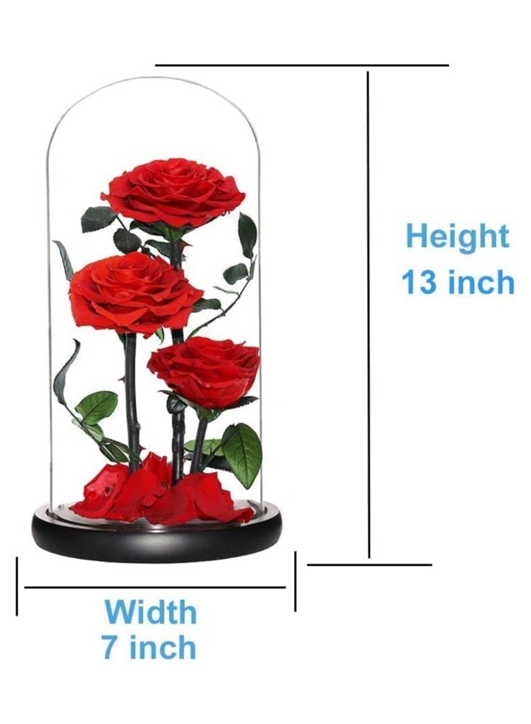 Large-size Forever Red Rose, Real Eternal Rose in Glass Dome Preserved Flower with Luxury Gift Box - Gift for Mother's Day Wedding Anniversary Birthday Any Special Day (Three Roses)