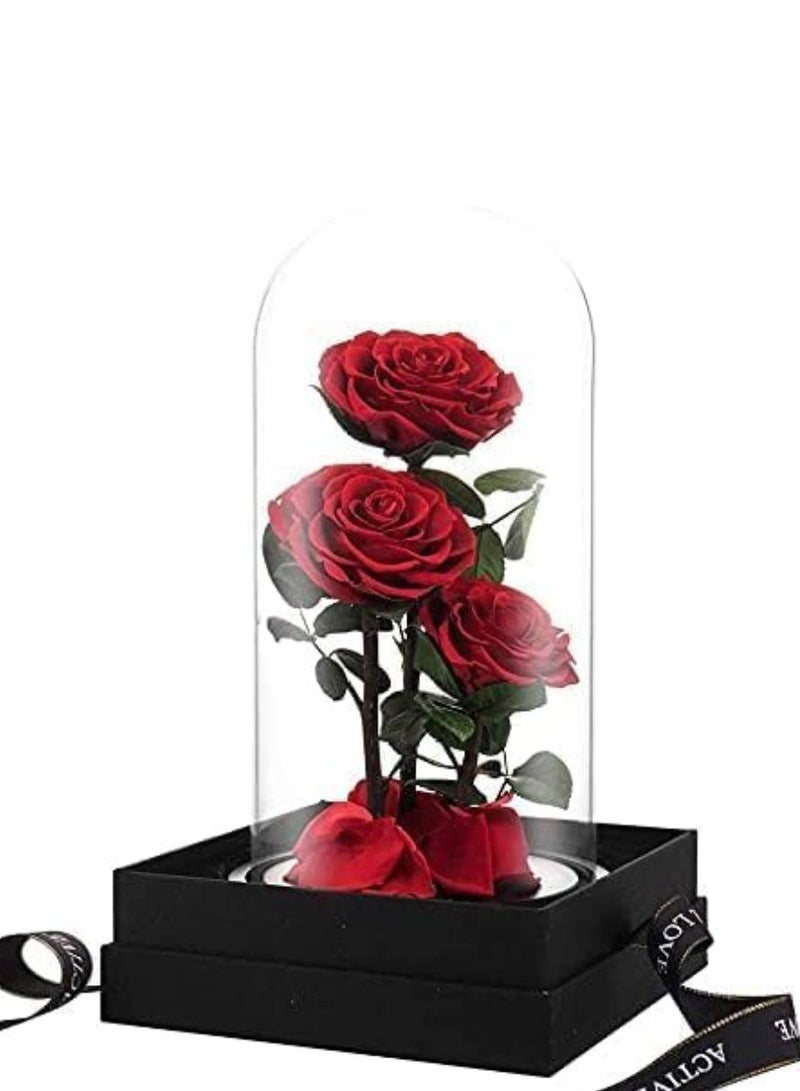 Large-size Forever Red Rose, Real Eternal Rose in Glass Dome Preserved Flower with Luxury Gift Box - Gift for Mother's Day Wedding Anniversary Birthday Any Special Day (Three Roses)