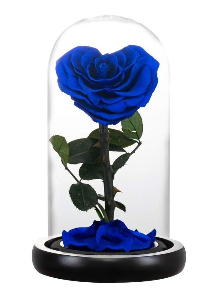 Handmade Heart Shape Forever Preserved Rose Real Eternal Rose Box Fully Handmade,Forever Flower,Special Day Gifts for Her,Wife, Girlfriend,Woman, Romantic Gift for Her,Birthday, Anniversary,Blue 22cm