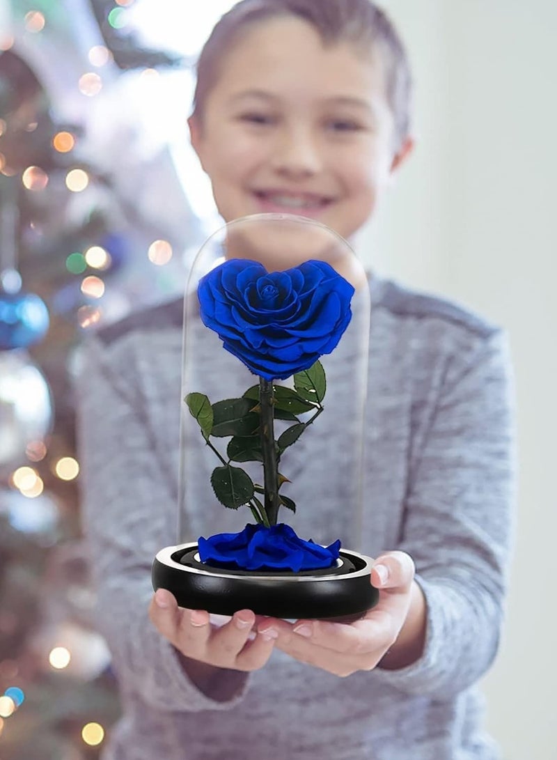 Handmade Heart Shape Forever Preserved Rose Real Eternal Rose Box Fully Handmade,Forever Flower,Special Day Gifts for Her,Wife, Girlfriend,Woman, Romantic Gift for Her,Birthday, Anniversary,Blue 22cm