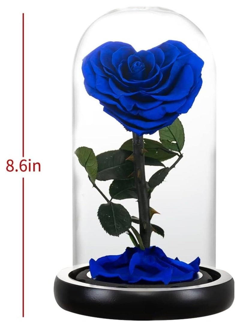 Handmade Heart Shape Forever Preserved Rose Real Eternal Rose Box Fully Handmade,Forever Flower,Special Day Gifts for Her,Wife, Girlfriend,Woman, Romantic Gift for Her,Birthday, Anniversary,Blue 22cm