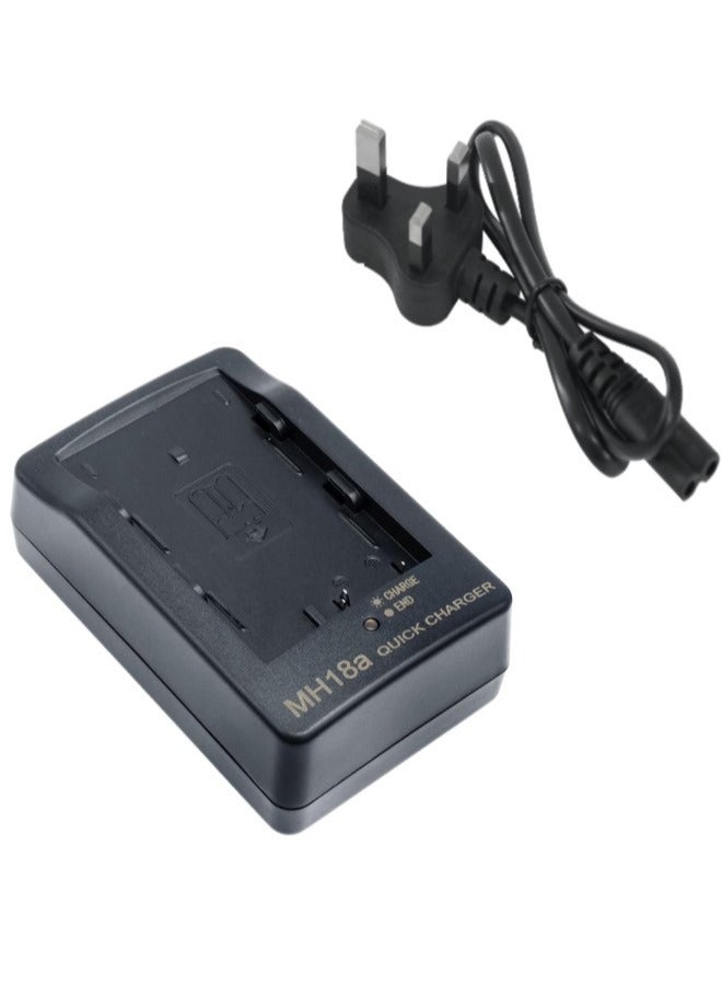 MH-18a Quick Battery Charger Compatible with Nikon EN-EL3 EN-EL3e EN-EL3a Battery for D50 D70 D70s D80 D90 D100 D200 D300 D300s D700 Digital SLR Cameras