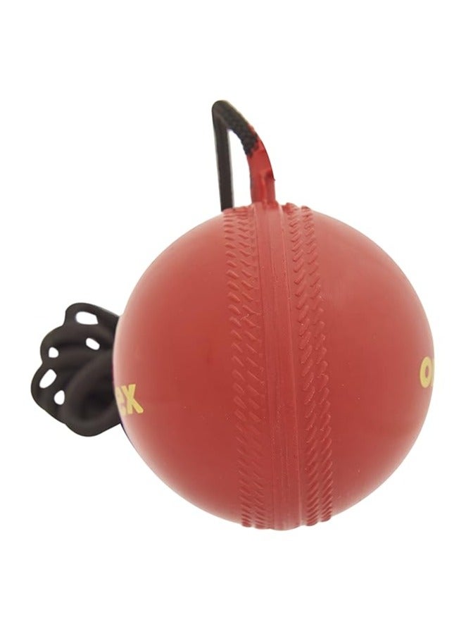 Cricket Hanging Ball