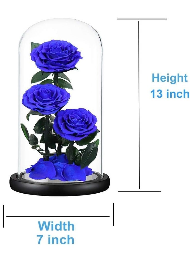 Large-size Forever Blue Rose, Real Eternal Rose in Glass Dome Preserved Flower with Luxury Gift Box - Gift for Mother's Day Wedding Anniversary Birthday Any Special Day (Three Roses)