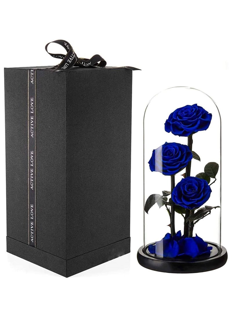 Large-size Forever Blue Rose, Real Eternal Rose in Glass Dome Preserved Flower with Luxury Gift Box - Gift for Mother's Day Wedding Anniversary Birthday Any Special Day (Three Roses)