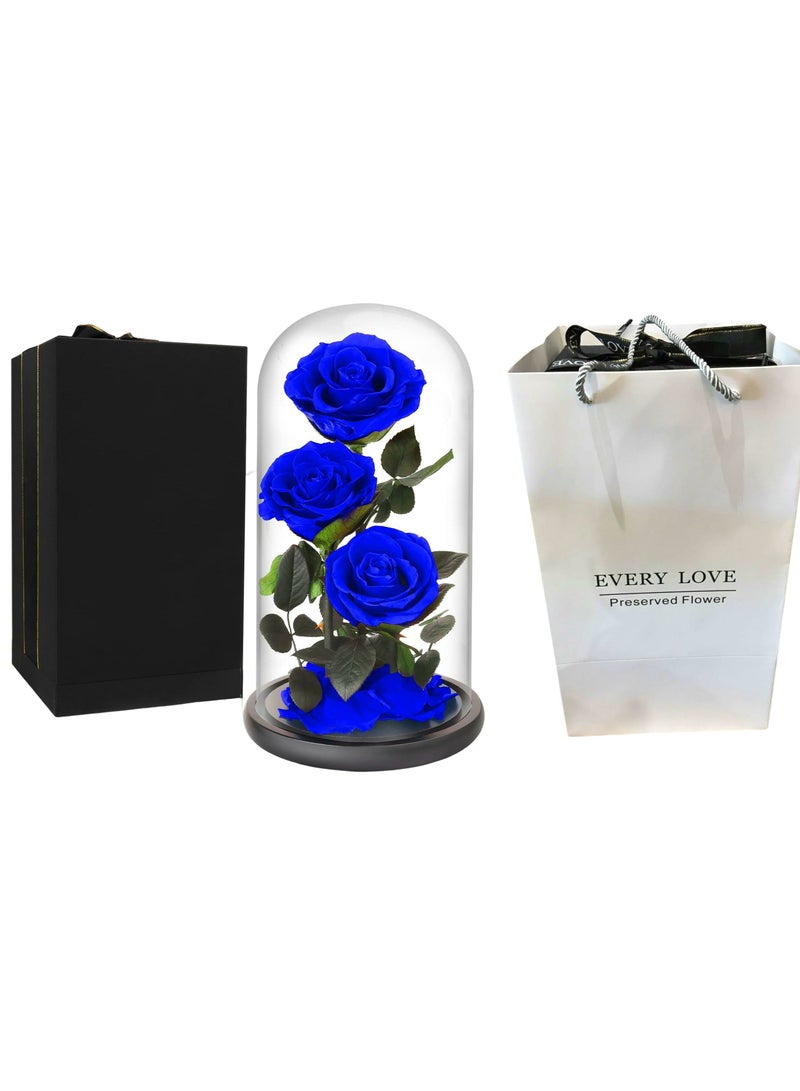 Large-size Forever Blue Rose, Real Eternal Rose in Glass Dome Preserved Flower with Luxury Gift Box - Gift for Mother's Day Wedding Anniversary Birthday Any Special Day (Three Roses)