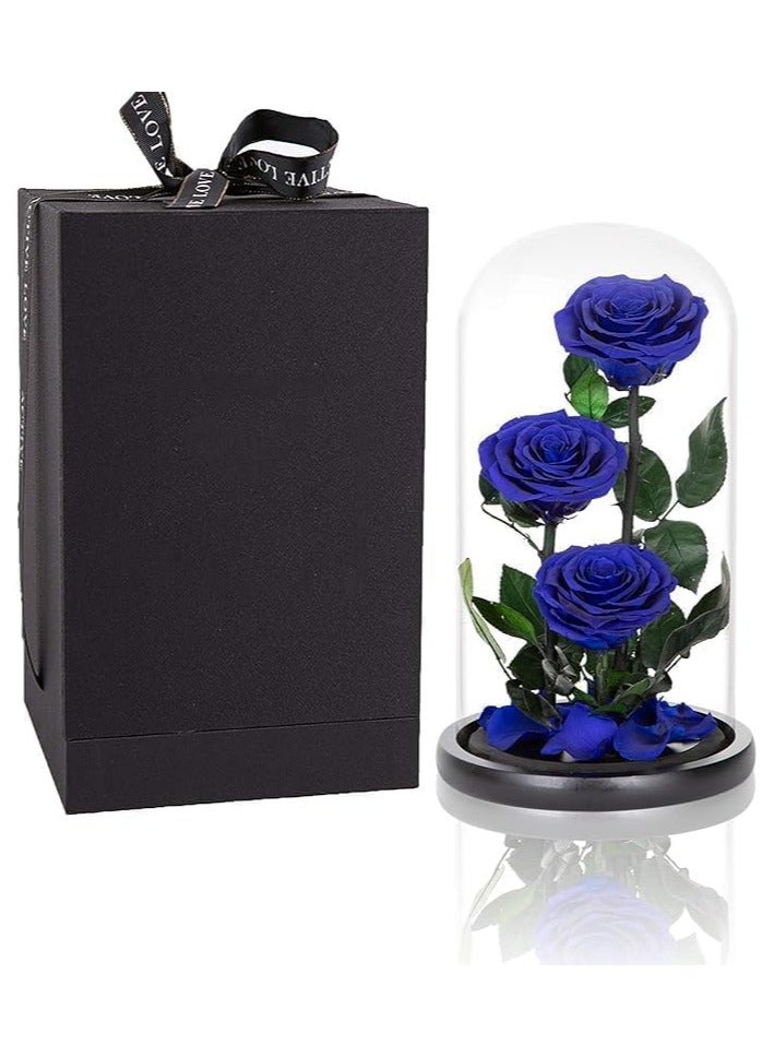 Large-size Forever Blue Rose, Real Eternal Rose in Glass Dome Preserved Flower with Luxury Gift Box - Gift for Mother's Day Wedding Anniversary Birthday Any Special Day (Three Roses)