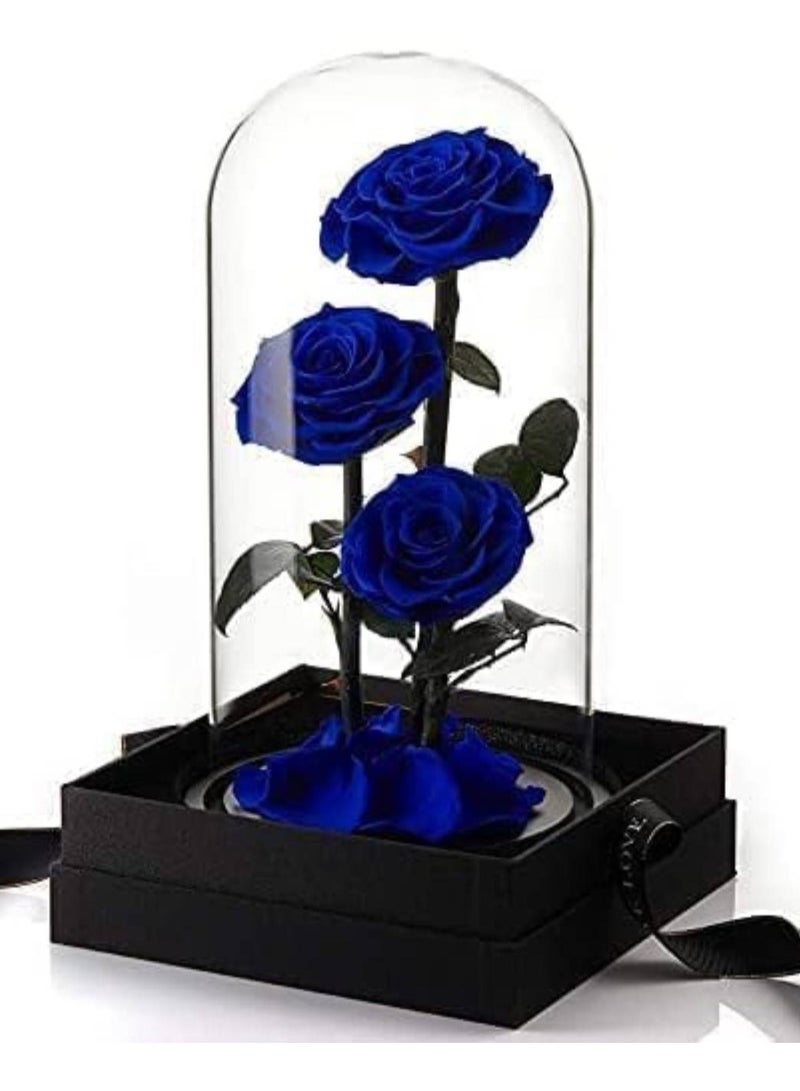 Large-size Forever Blue Rose, Real Eternal Rose in Glass Dome Preserved Flower with Luxury Gift Box - Gift for Mother's Day Wedding Anniversary Birthday Any Special Day (Three Roses)