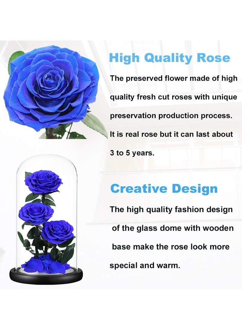 Large-size Forever Blue Rose, Real Eternal Rose in Glass Dome Preserved Flower with Luxury Gift Box - Gift for Mother's Day Wedding Anniversary Birthday Any Special Day (Three Roses)