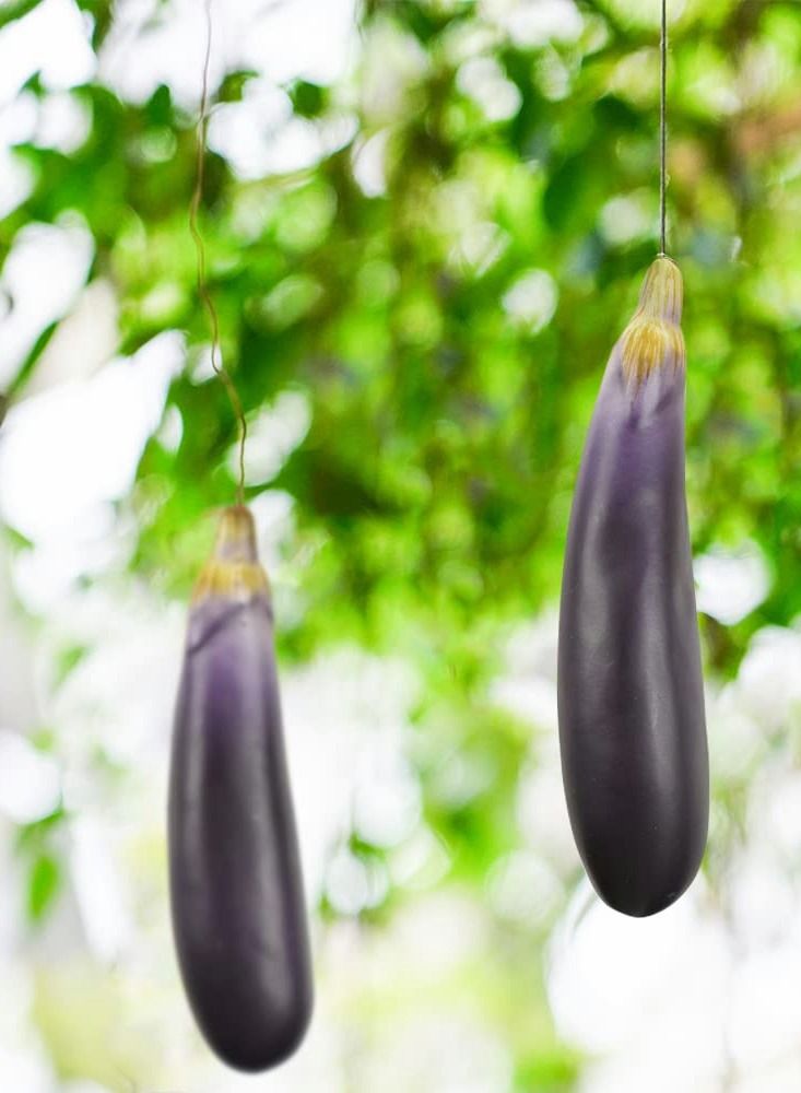 Artificial Eggplants Simulation Eggplants Fake Vegetable