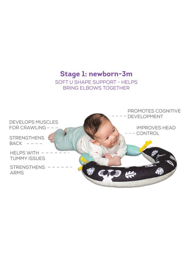 2-in-1 Tummy-Time Soft Baby Developmental Pillow