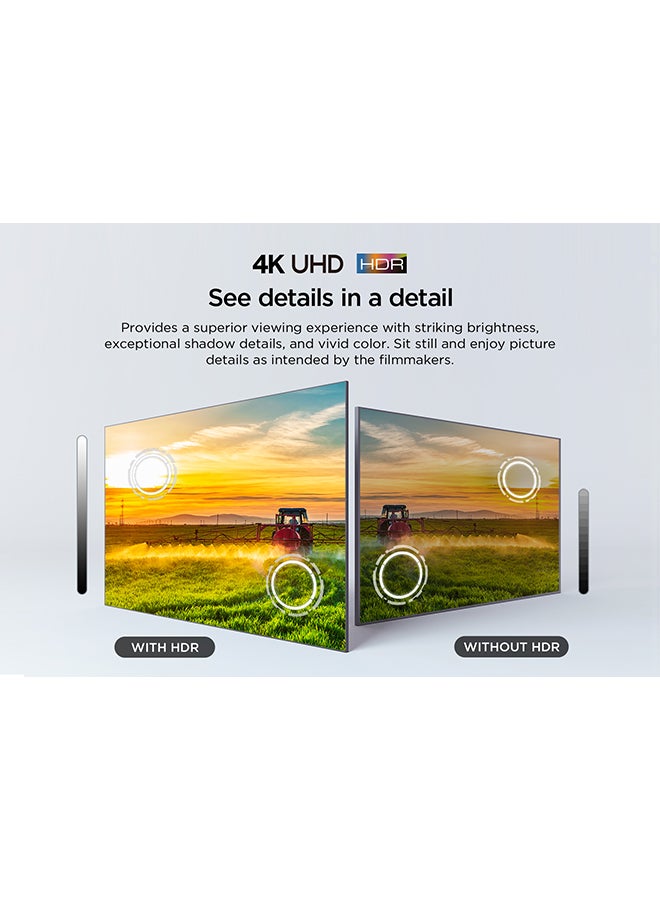 65 Inch 4K LED HDR 10 UHD Dynamic Color Enhancement Metallic Bezel-less Google TV, 60HZ, Built in receiver,  (2024) - 65V6B Brushed Titanium