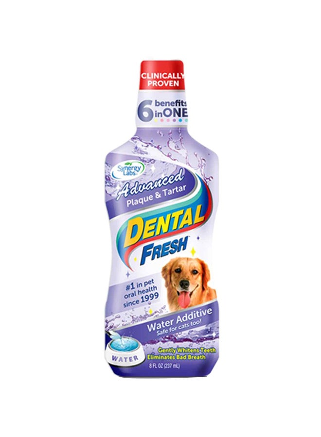 Dental Fresh Plaque And Tartar Proven Toothbrush In A Bottle 503ml