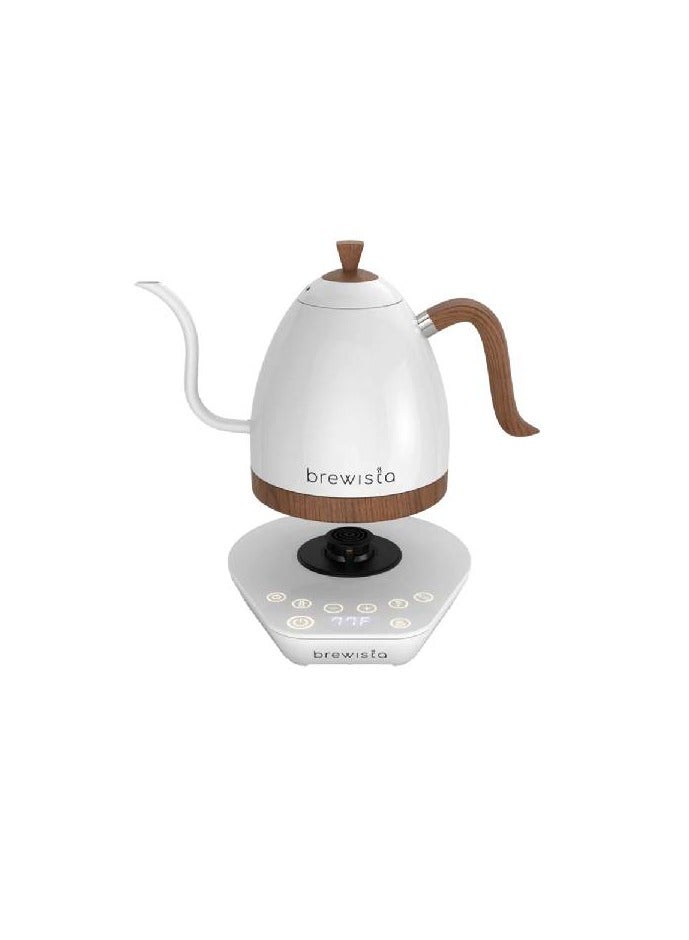 Artisan Electric Coffee Kettle with Gooseneck Spout, Perfect for Pour-Over Coffee and Tea Brewing, Precision Temperature Control, Digital Display, Flash Boil and Keep Warm Setting, Stainless Steel Body, 1L - Matte White