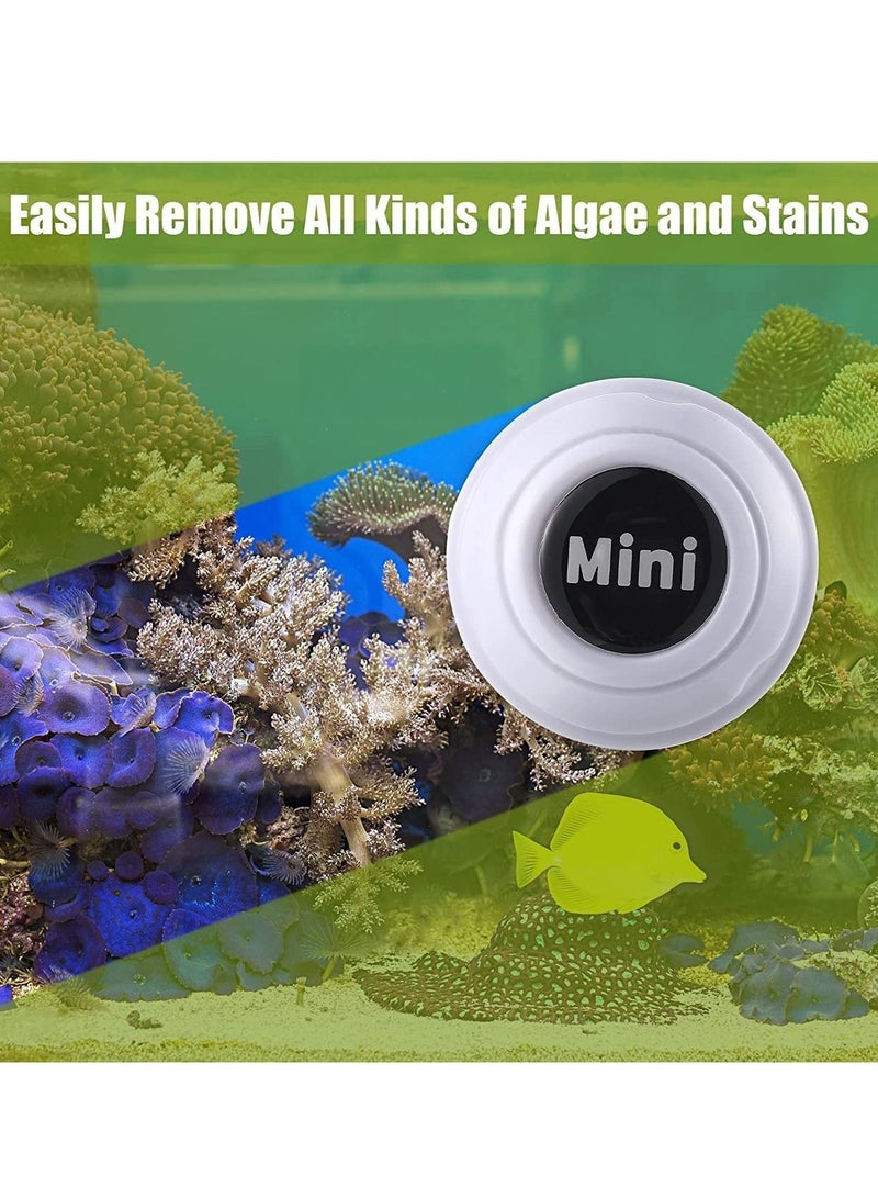 2 Pieces Mini Aquarium Glass Cleaner Magnetic Algae Scraper Magnetic Glass Cleaner No Scratch Magnet Fish Tank Glass Cleaner Magnetic Brush for Small Fish Tank Glass and Acrylic Aquarium