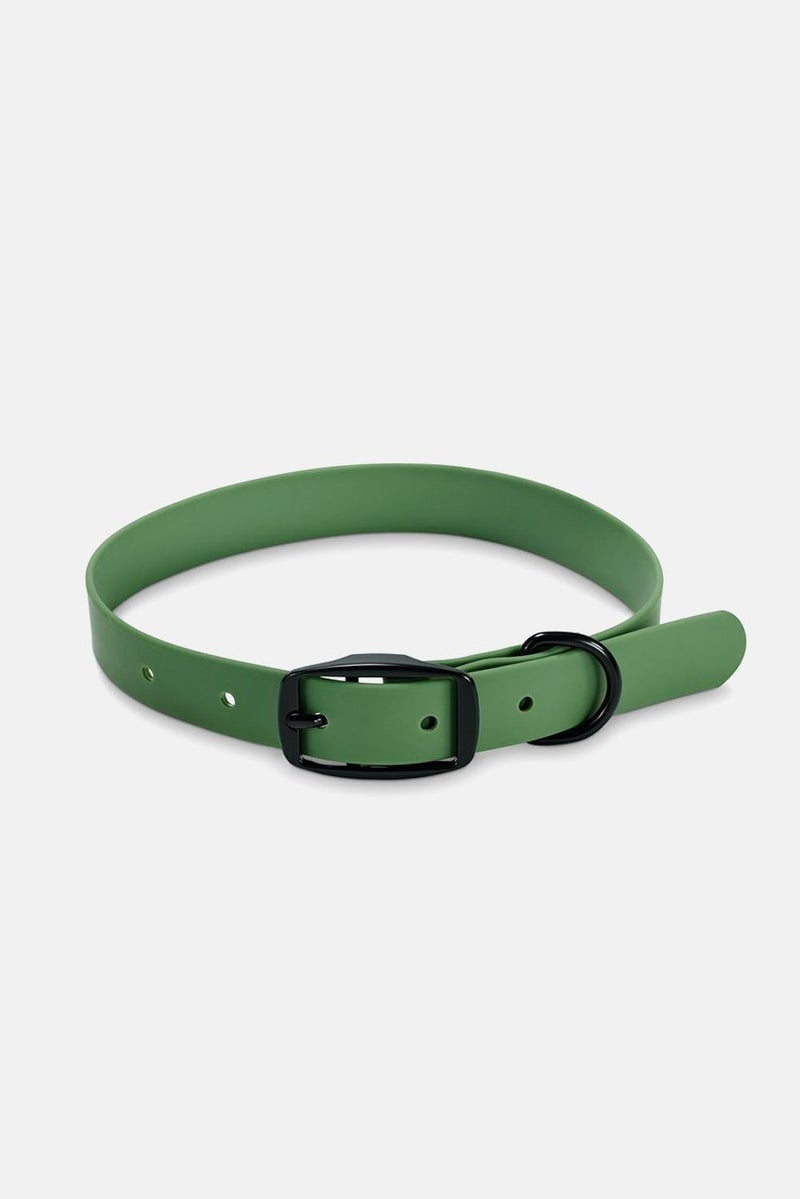 Adjustable Dog Collar, Green